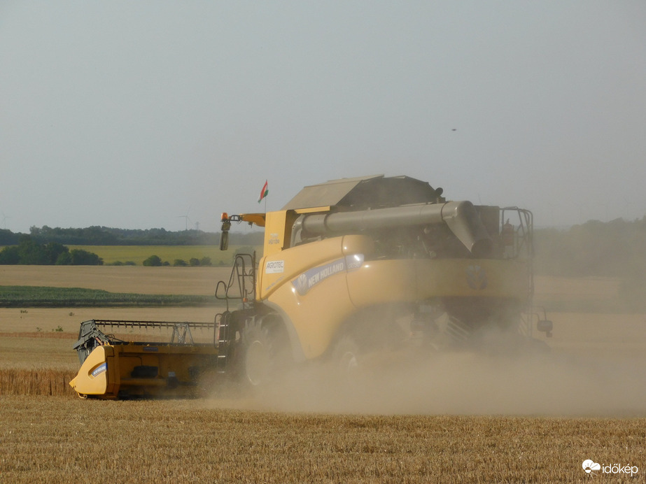 Elkezdődött a kalászosok betakarítása
