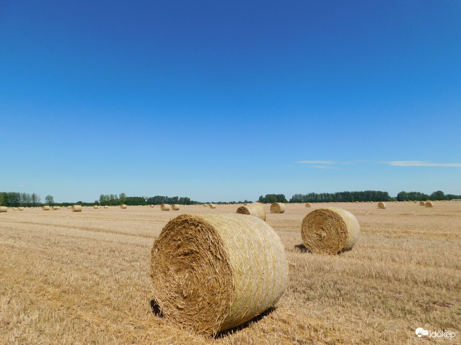 Derült égbolt a Szigetközben! 