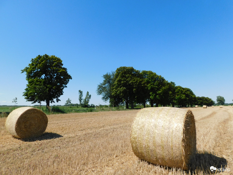 Derült égbolt a Szigetközben! 