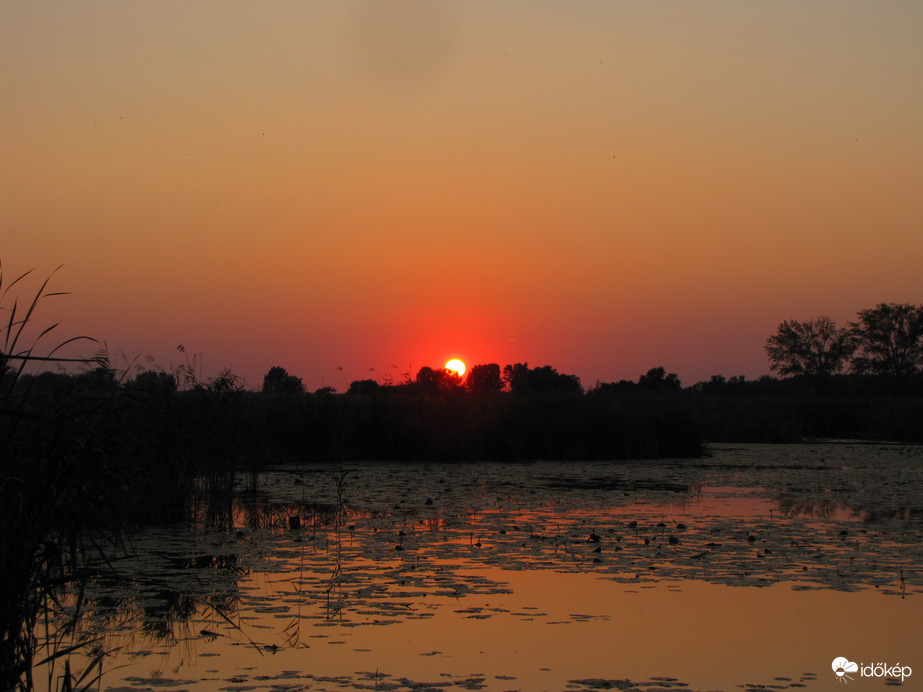 Bújkáló napkorong