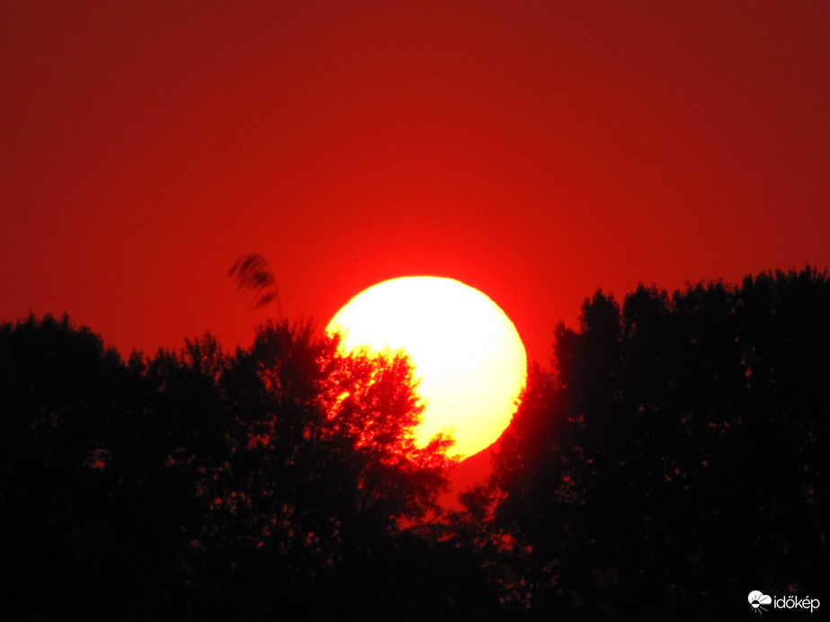 Bújkáló napkorong