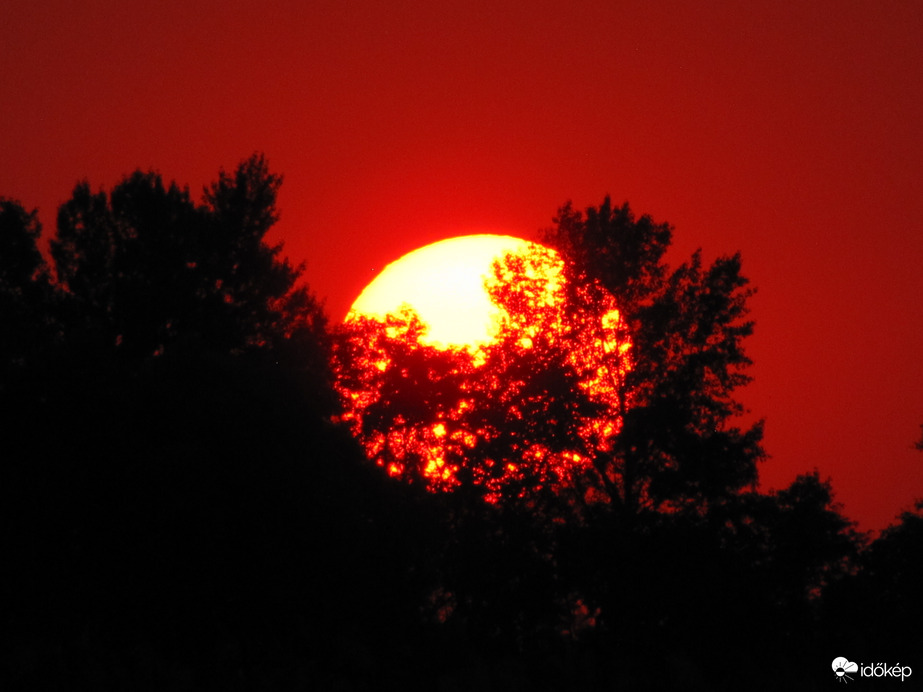 Bújkáló napkorong