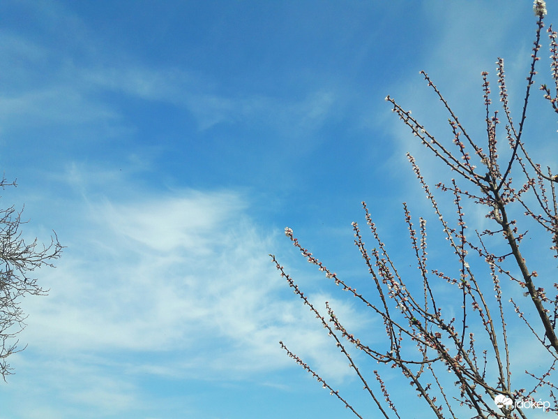 Különleges felhőforma