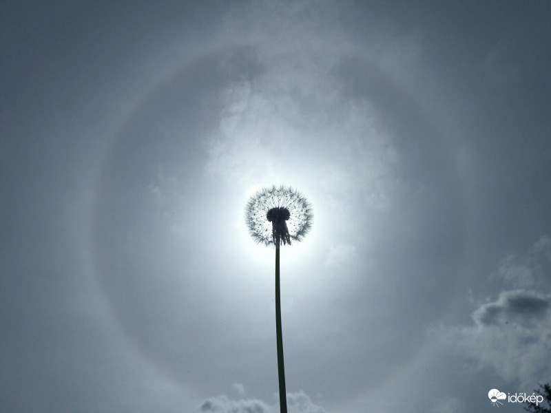 Jelenleg Császáron