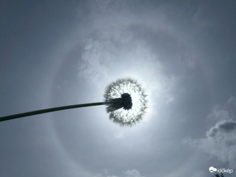 Jelenleg Császáron