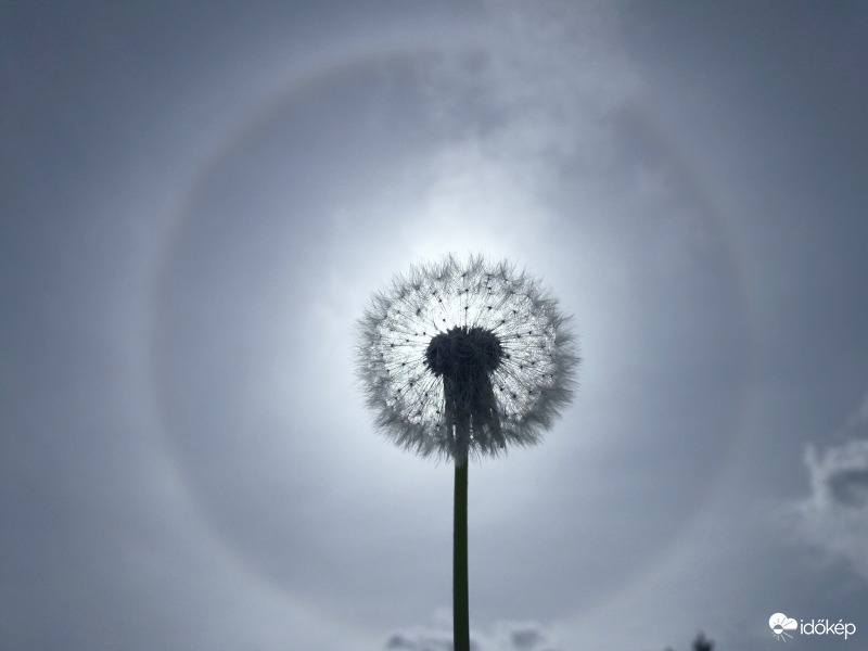 Jelenleg Császáron