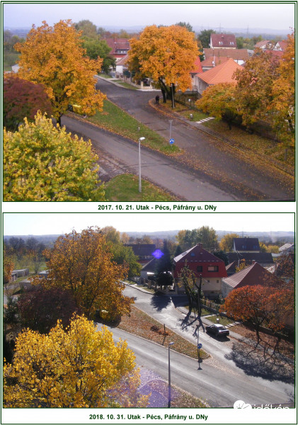 Utak - tavaly és idén, Pécs, Páfrány u. DNy