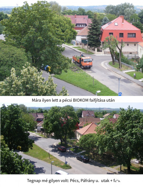 Utak meg  fáik - tegnap és ma