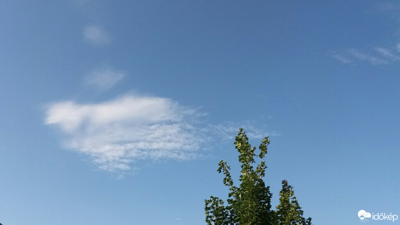 Észlelési fényképek