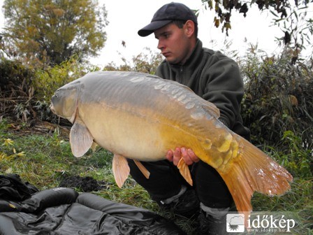 16,70 kg Merenyéről