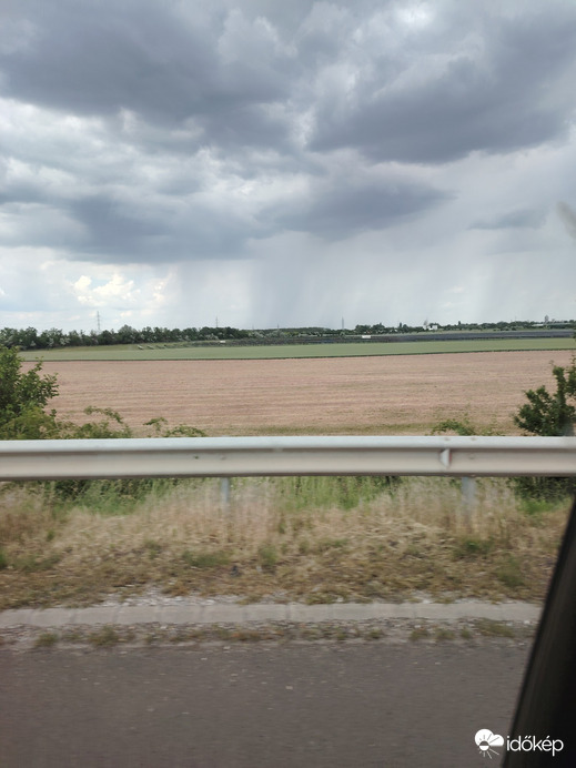 Zagyvarékas