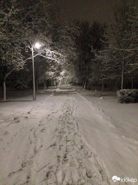 Észlelési fényképek