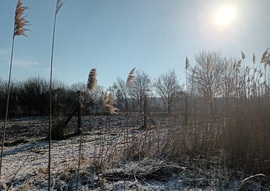 Winters scene 