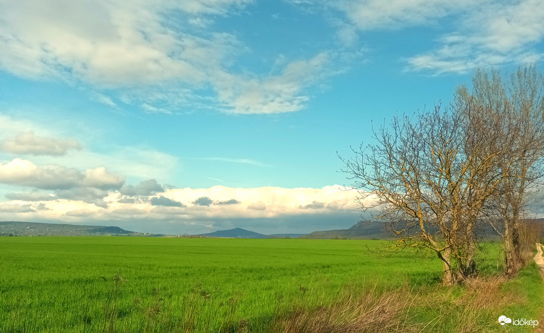 Tájkép