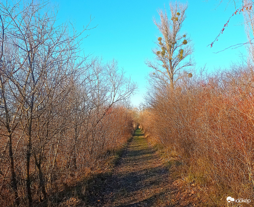 Path to nowhere 