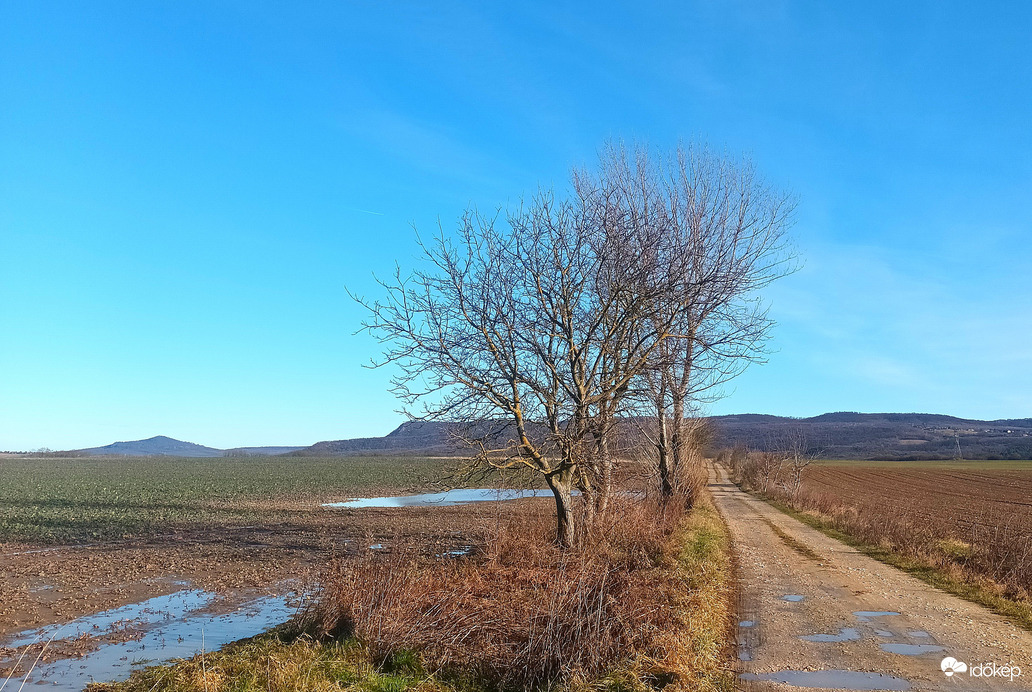 Country lane
