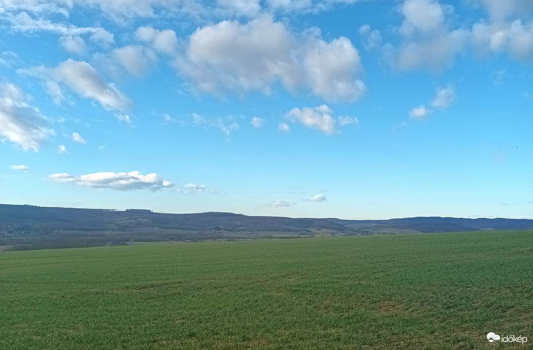 Scattered cumulus 