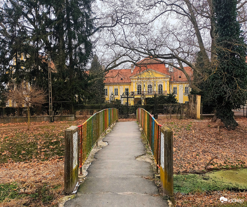 Bridge to museum 