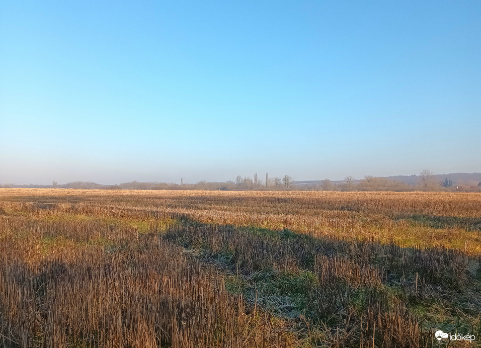 Frosty hollows 