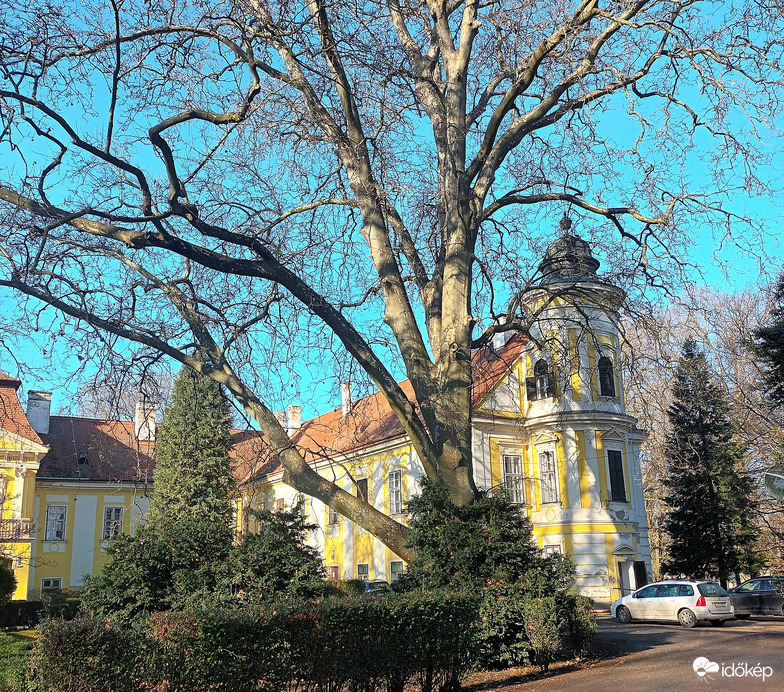 Batthyany Castle 