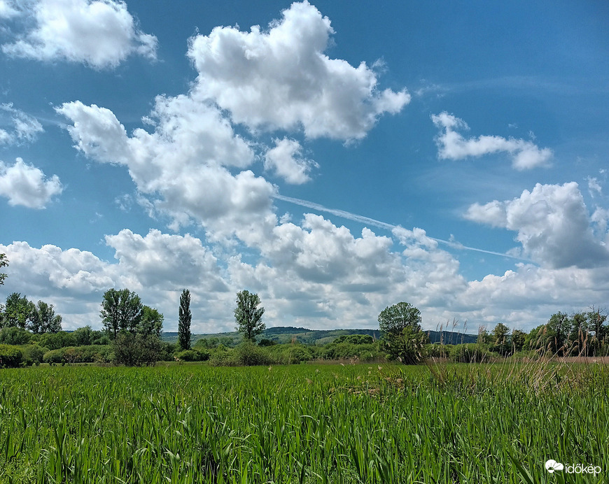 Scattered clouds 