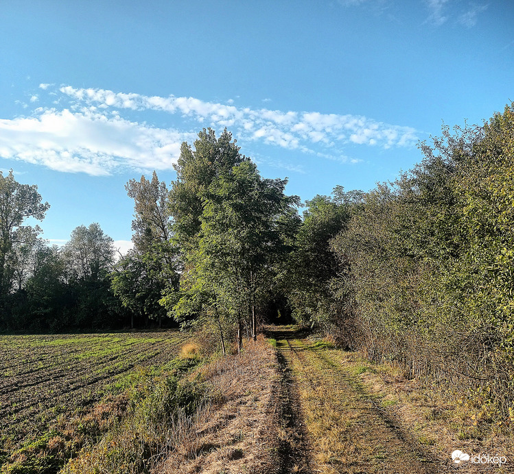 The shades of Autumn 