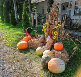 A bumper harvest 