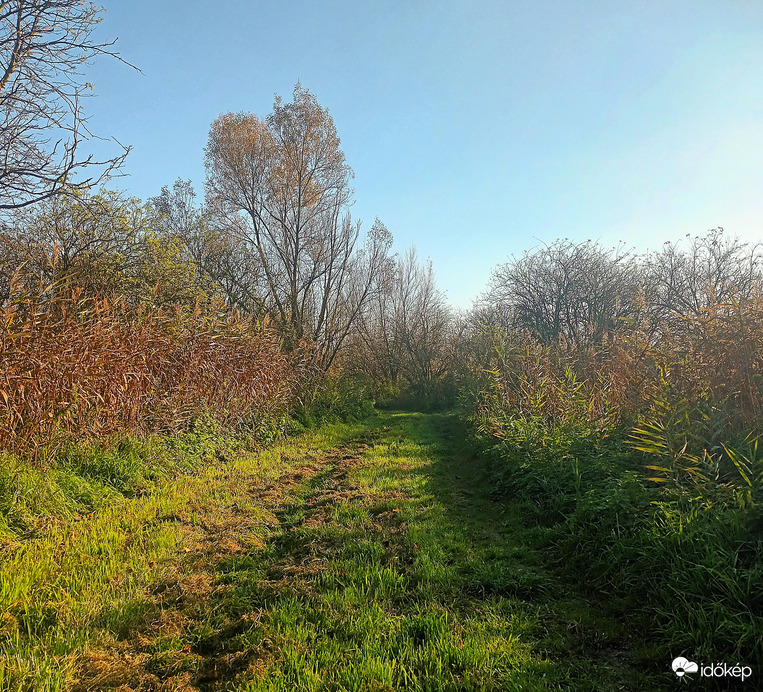 Autumnal weather 