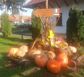 A bounty of pumpkins 