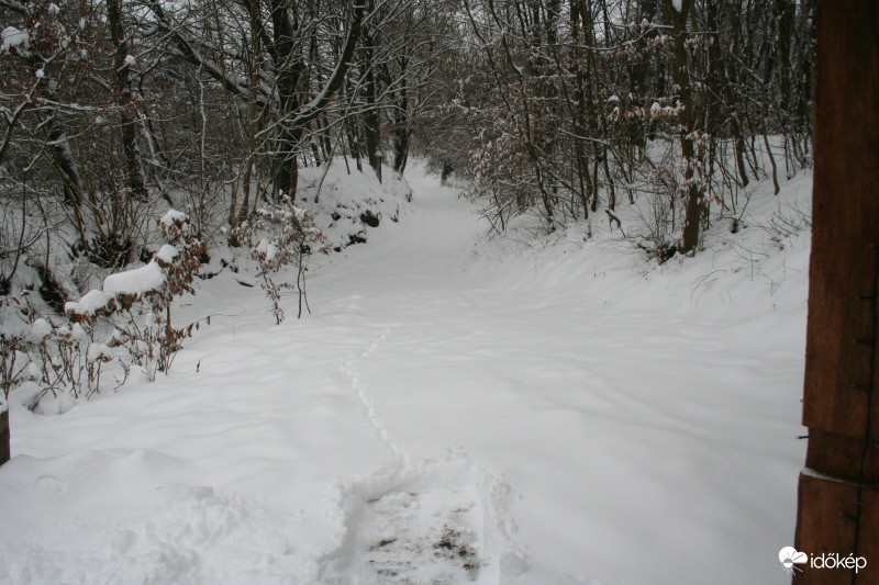 Felsőszölnök - Jánoshegy