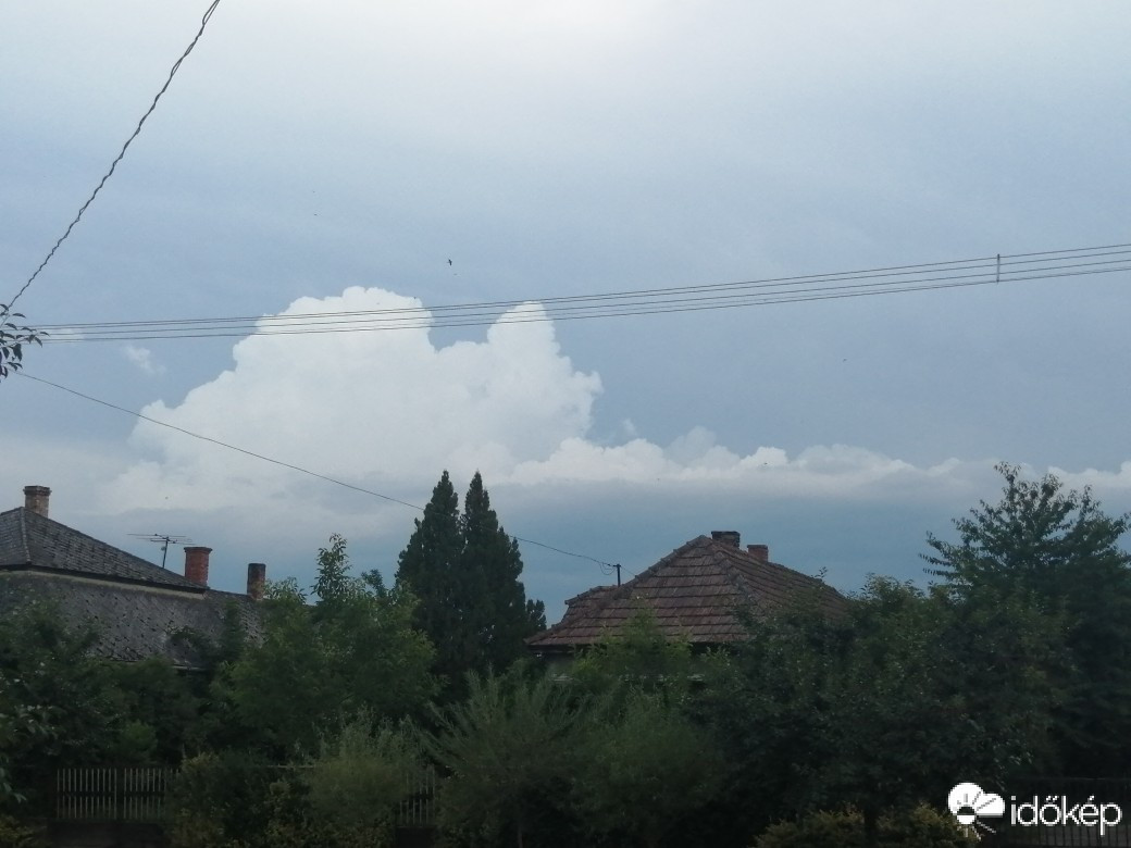 Cégénydányád
