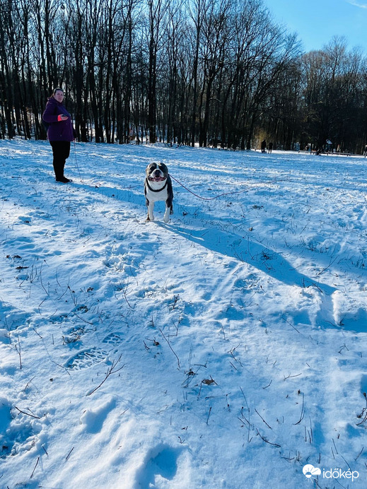 Budapest X.ker - Királydomb