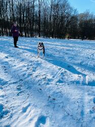 Budapest X.ker - Királydomb