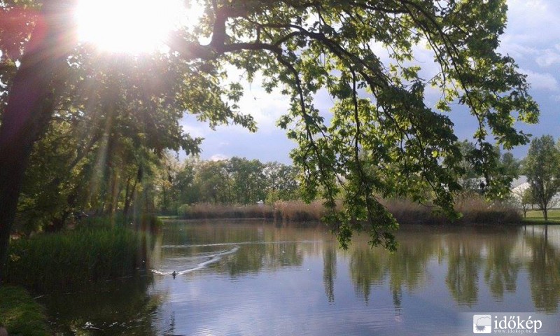 2014 Nyara, kis tó Szolnok.