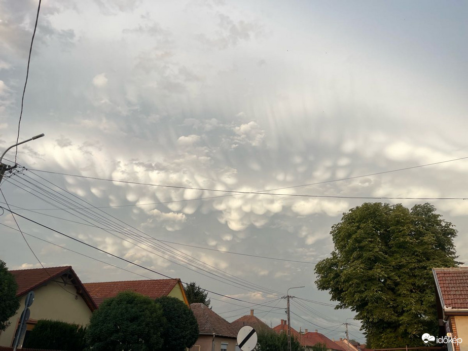 Észlelési fényképek