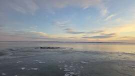 Kacsa-lék a jegesedő Balatonon