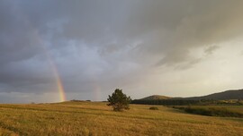 Szivárvány