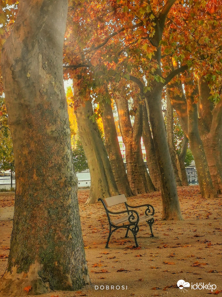 ÜLÜNK EGYMÁS MELLETT Ülünk egymás mellett a padon. Ülünk egymás mellett némán, hallgatagon. J. A. 