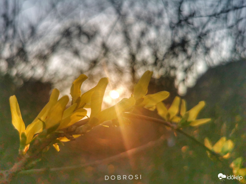 Ma is lemegy a nap... 