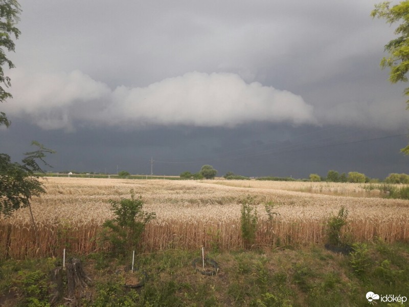 Észlelési fényképek