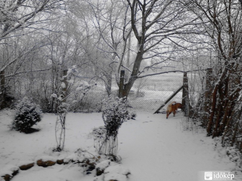 Észlelési fényképek