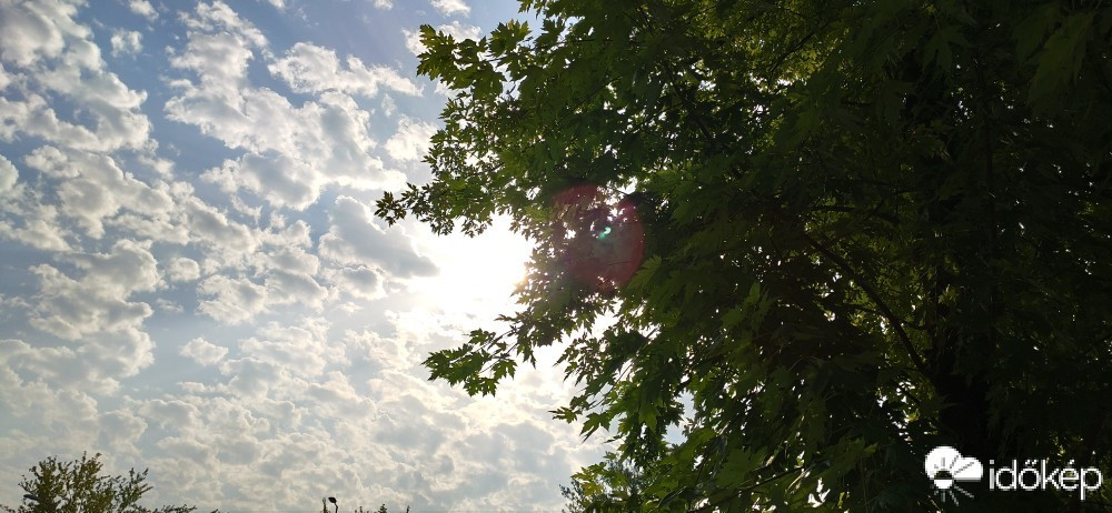 Észlelési fényképek