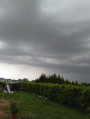 Kisharsány
