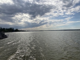 Gárdony