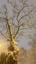 Budapest XI.ker - Albertfalva