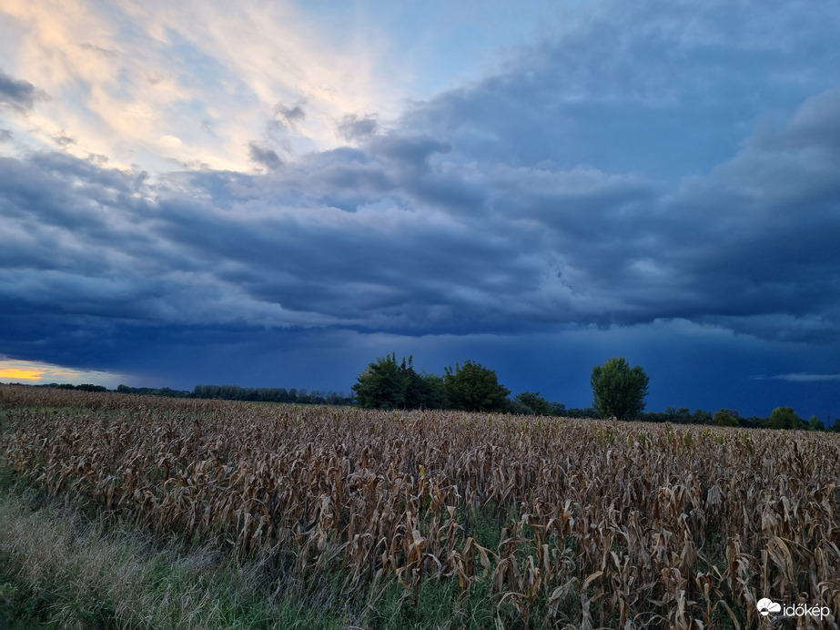 Észlelési fényképek