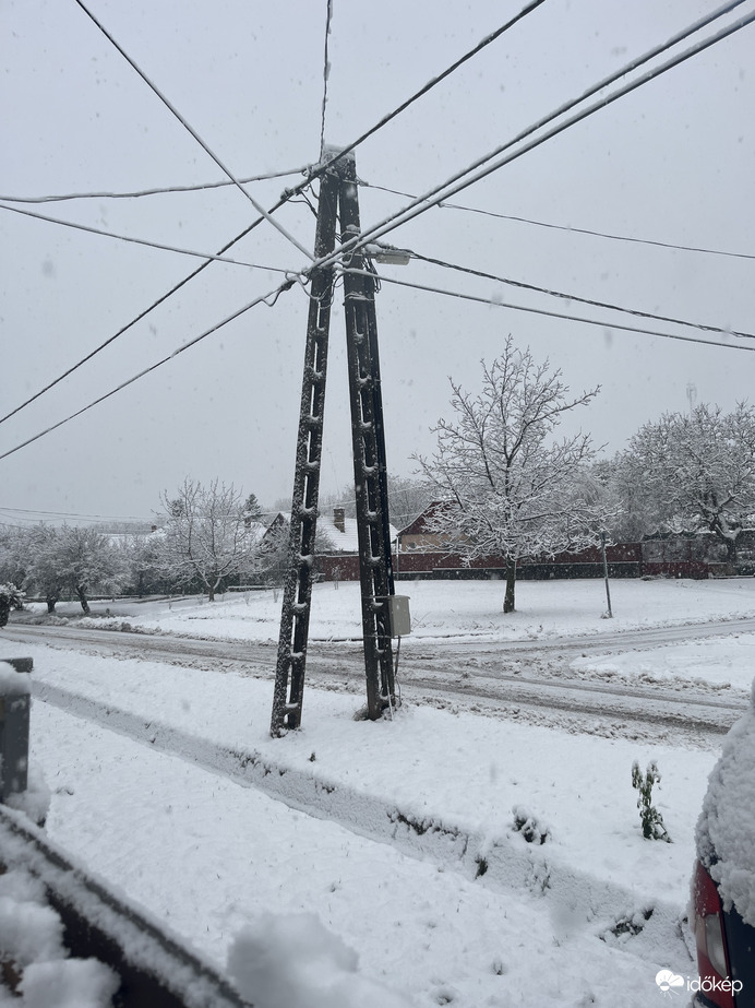 Észlelési fényképek