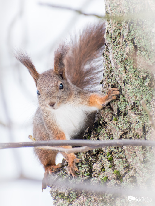 Kukucs! Szép hétvégét kívánok Mindenkinek sok szeretettel! Cukorborsó