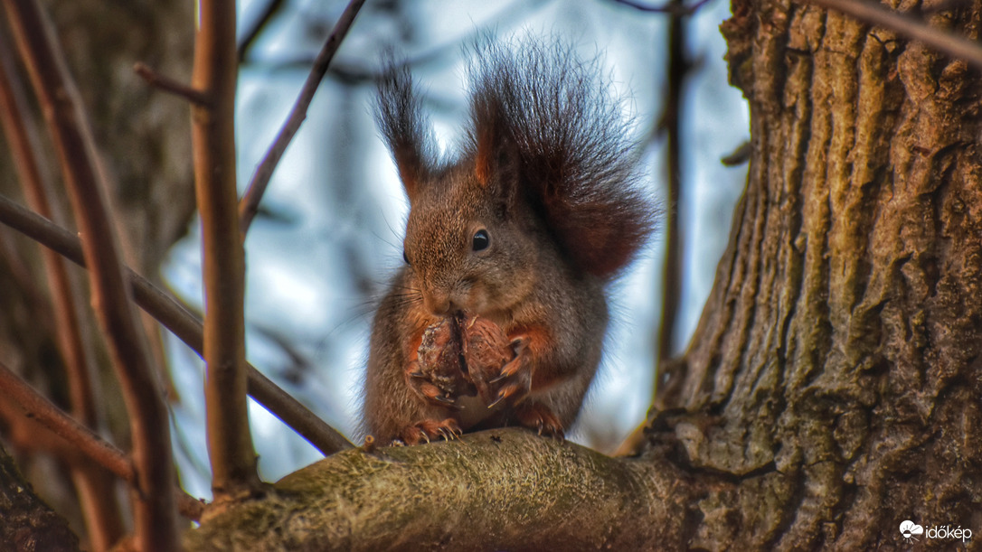 Ha fúj,ha nem, enni kell :)