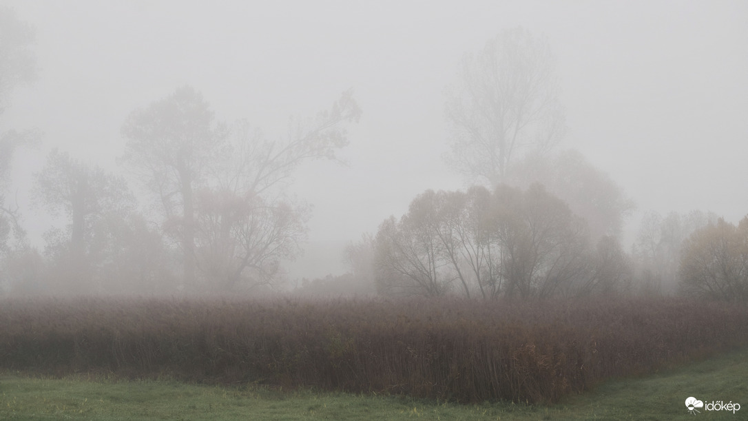 Ismét ködös a reggel